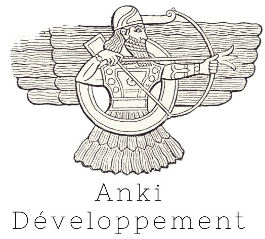 Logo Anki Développement